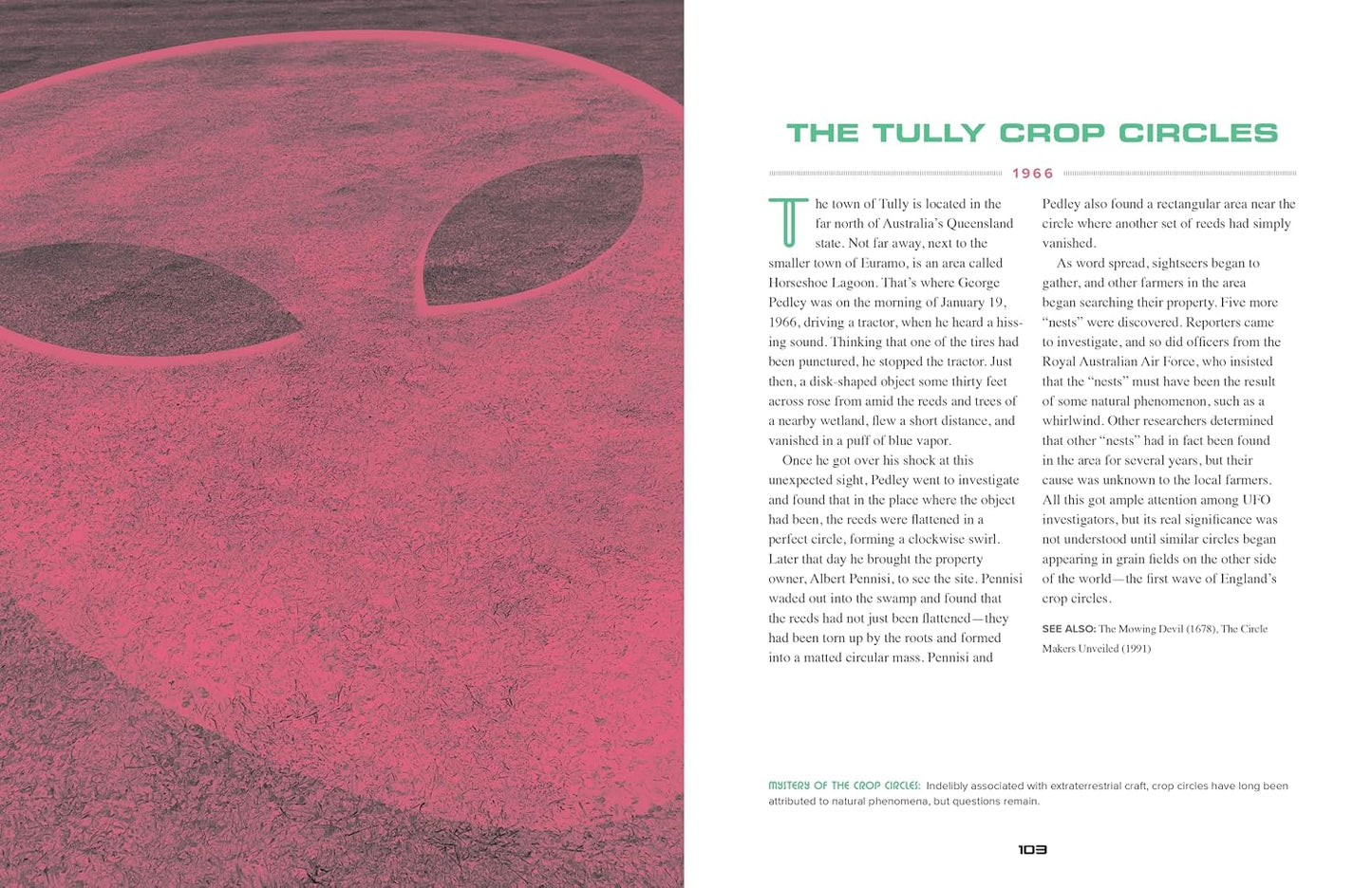 The UFO Book: A Chronological Journey from Crop Circles to Roswell