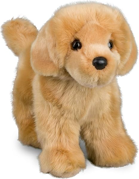 Chap Golden Retriever