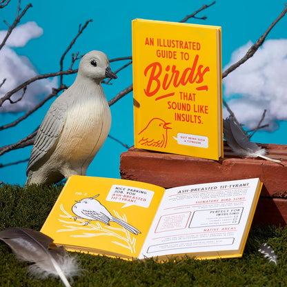 An Illustrated Guide To Birds