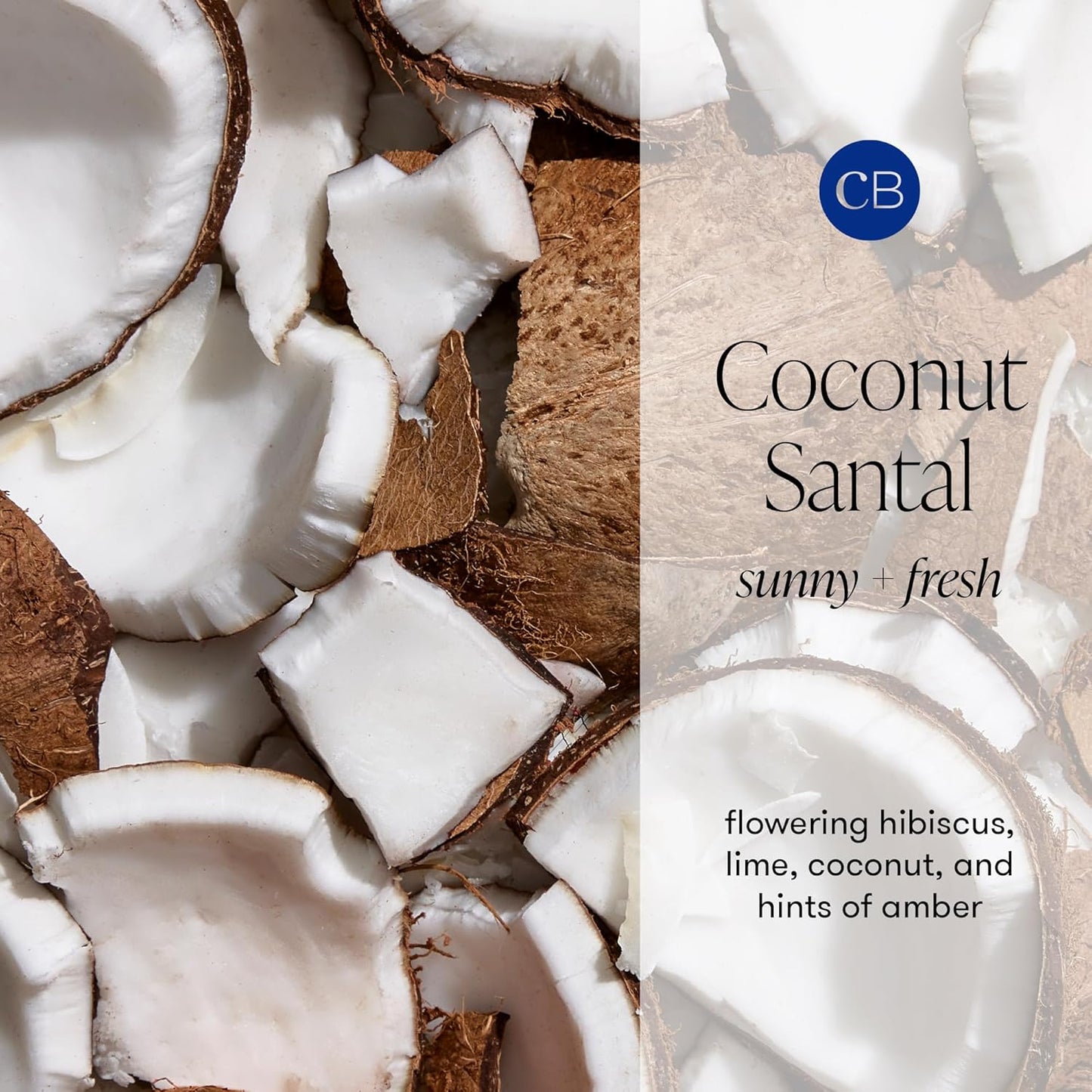 Marble Reed Diffuser Set - Coconut Santal