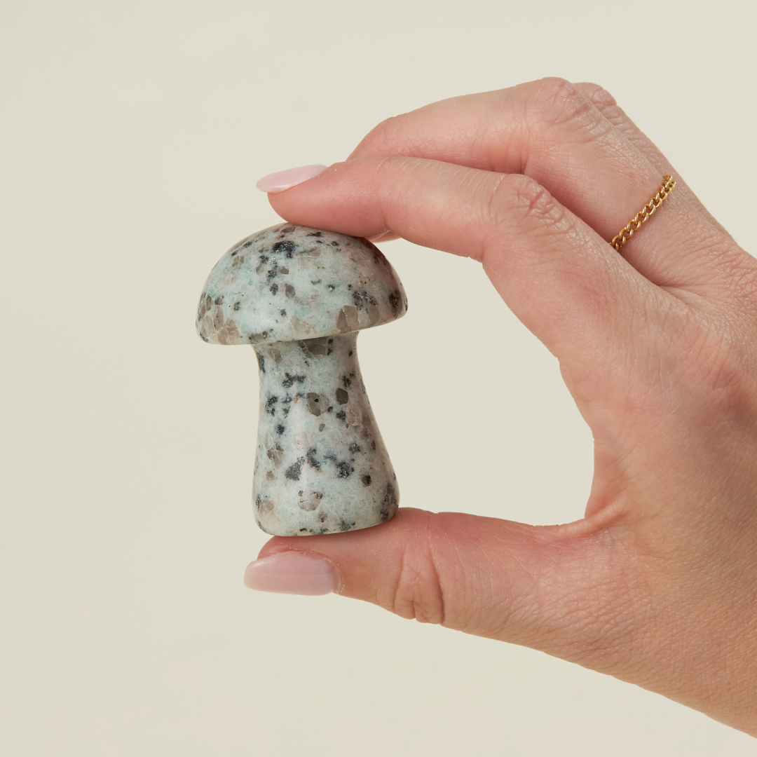 Large Mushroom Assortment