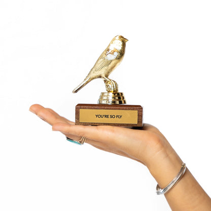 Encouragement Trophy - You're So Fly