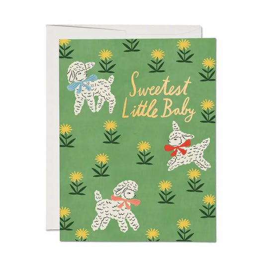 Little Lamb Baby Card