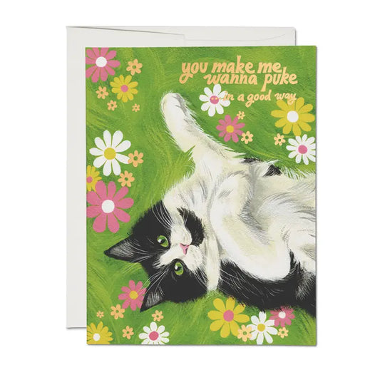 Nice Kitty Greeting Card