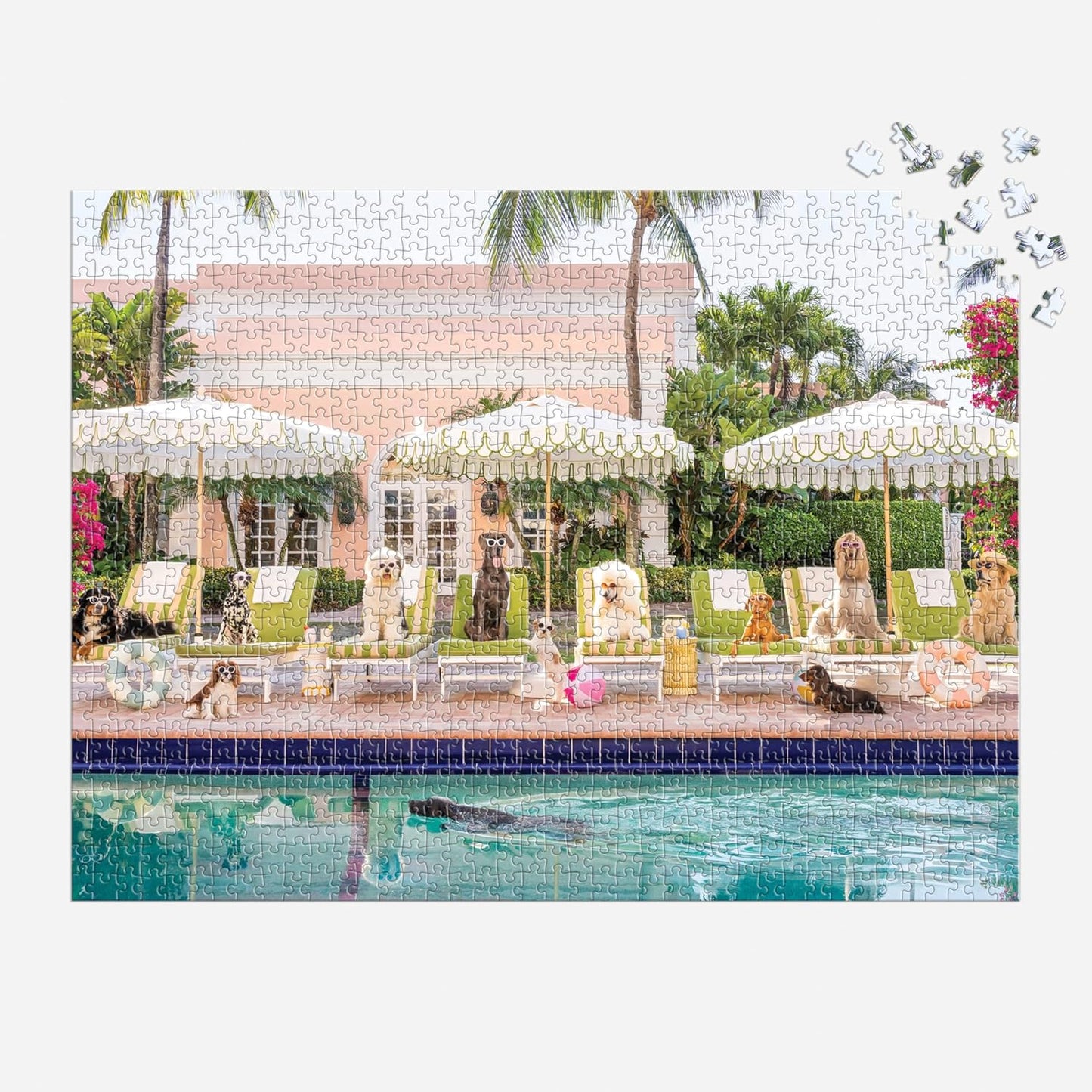 Palm Beach – 1000 Piece Book Box Puzzle