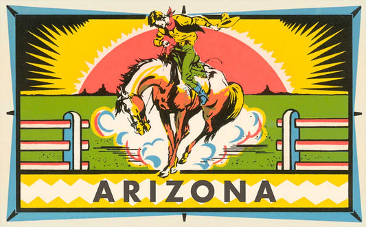 Bucking Bronco Postcard