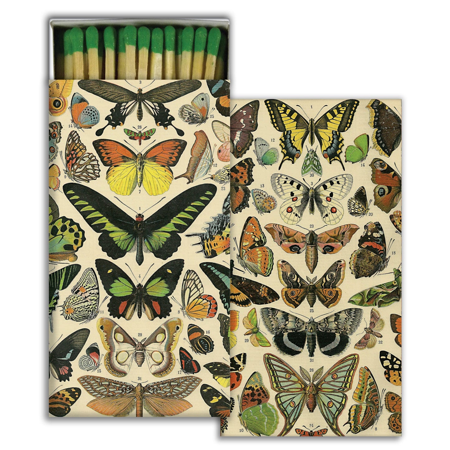 Matches - Butterfly Specimens