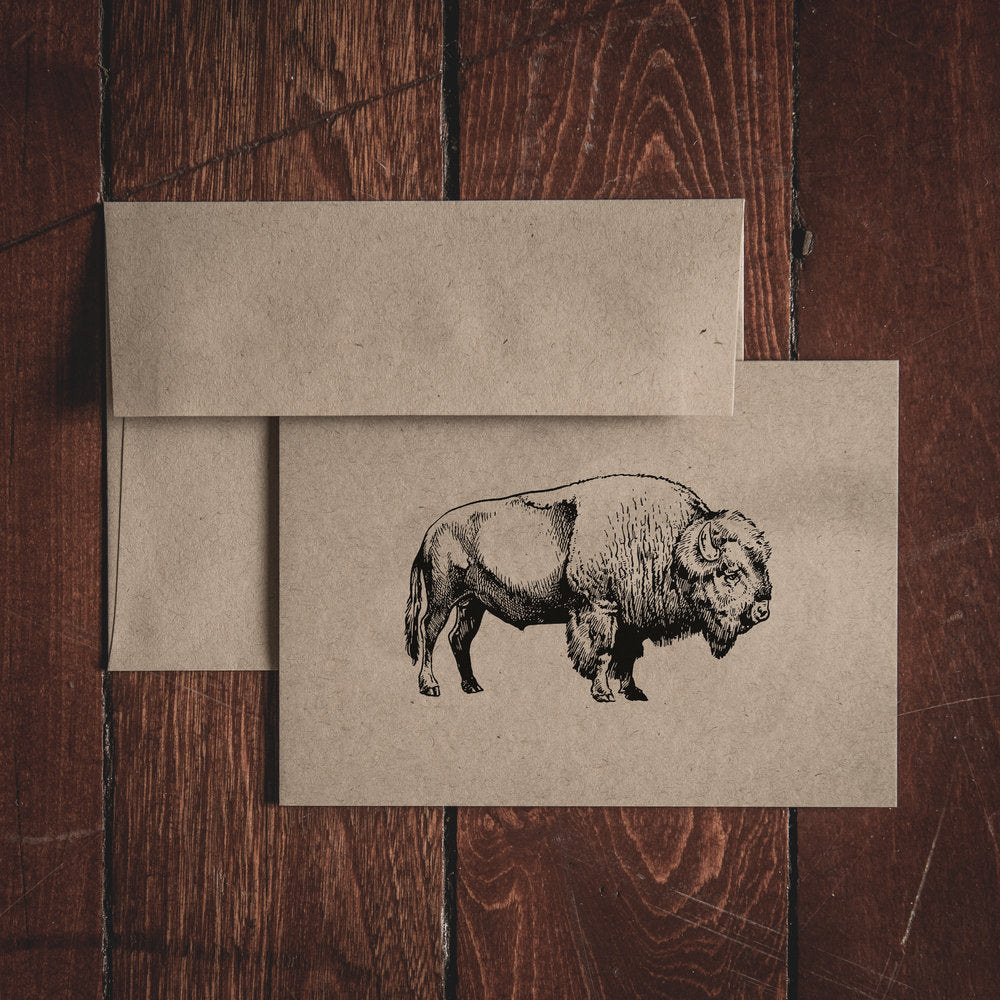 Bison Note Card Set