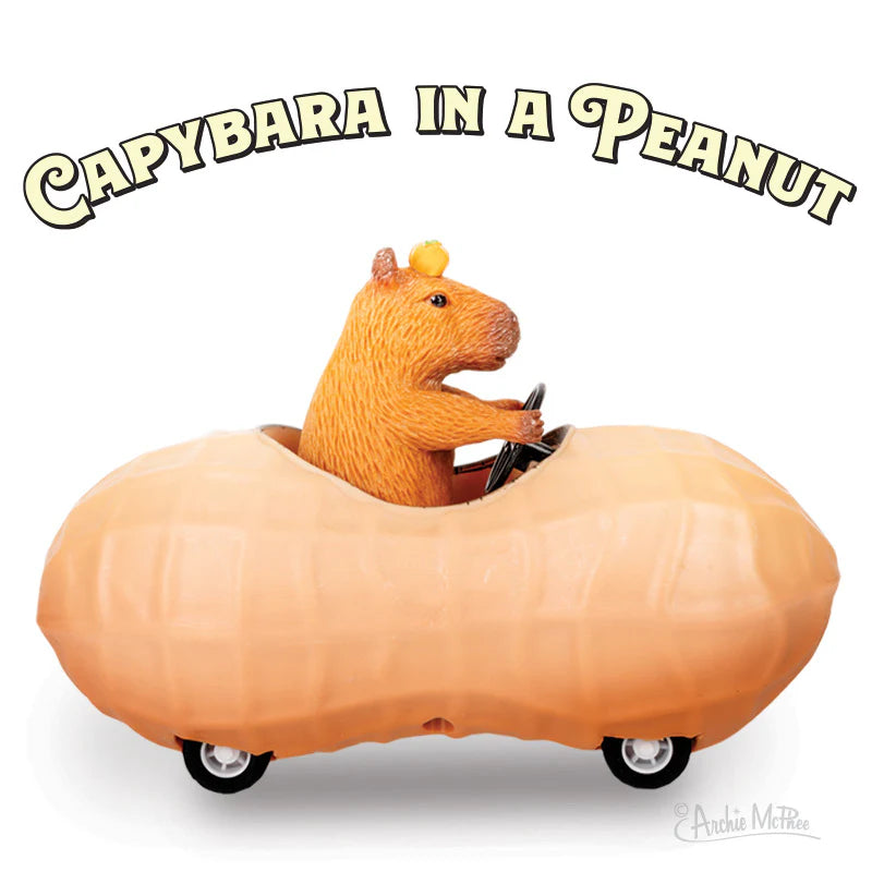 Capybara in a Peanut