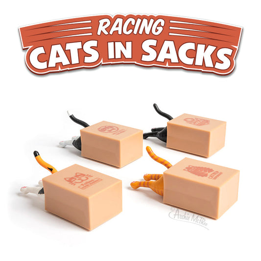 Racing Cat in a Sack
