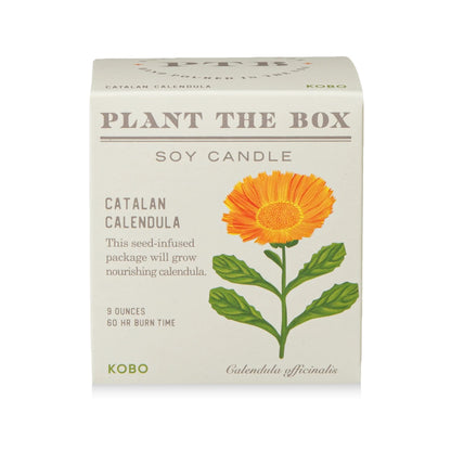 Plant The Box Candle - Catalan Calendula