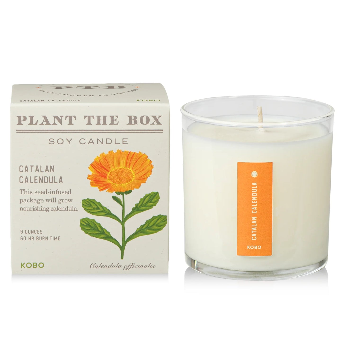 Plant The Box Candle - Catalan Calendula