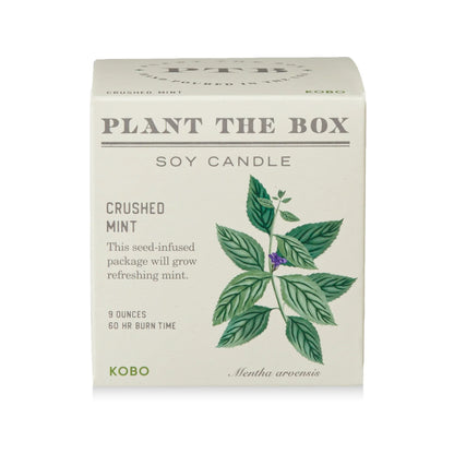 Plant The Box Candle - Crushed Mint