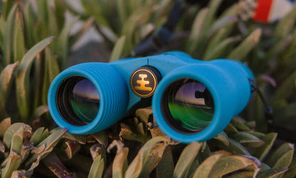 Field Issue 8x32 Waterproof Binoculars - Corsican Blue