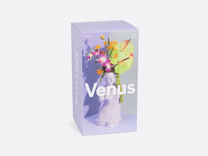 Venus Vase - Lilac