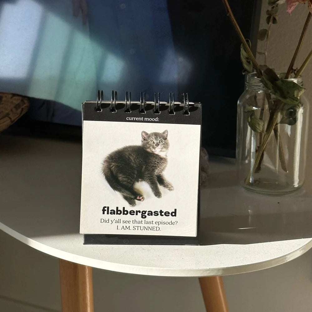 Daily Cattitudes Desk Flipchart