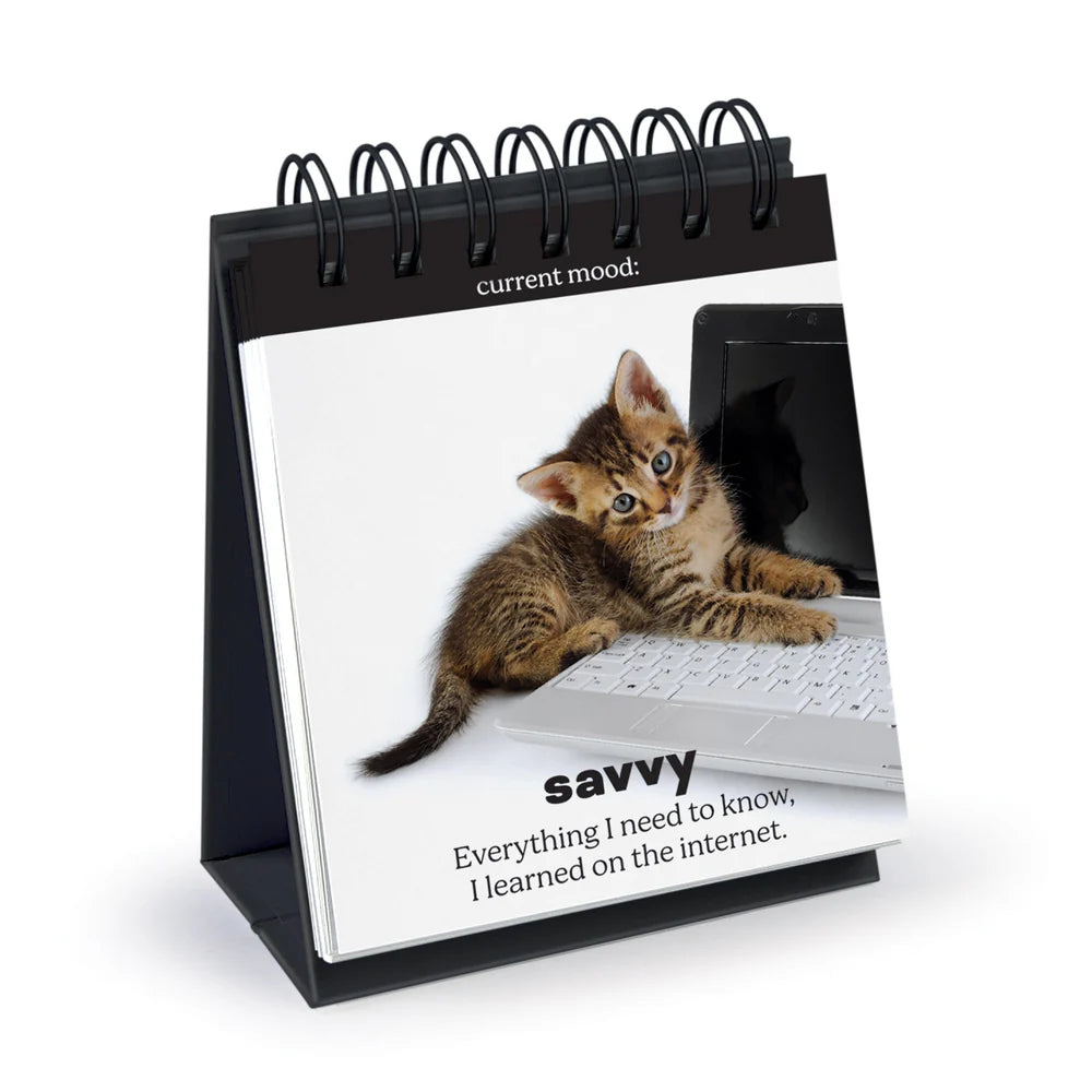 Daily Cattitudes Desk Flipchart