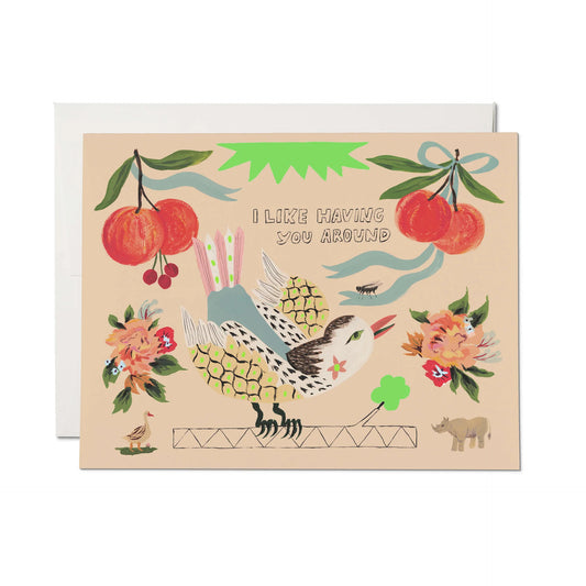 Bird and Fly Greeting Card
