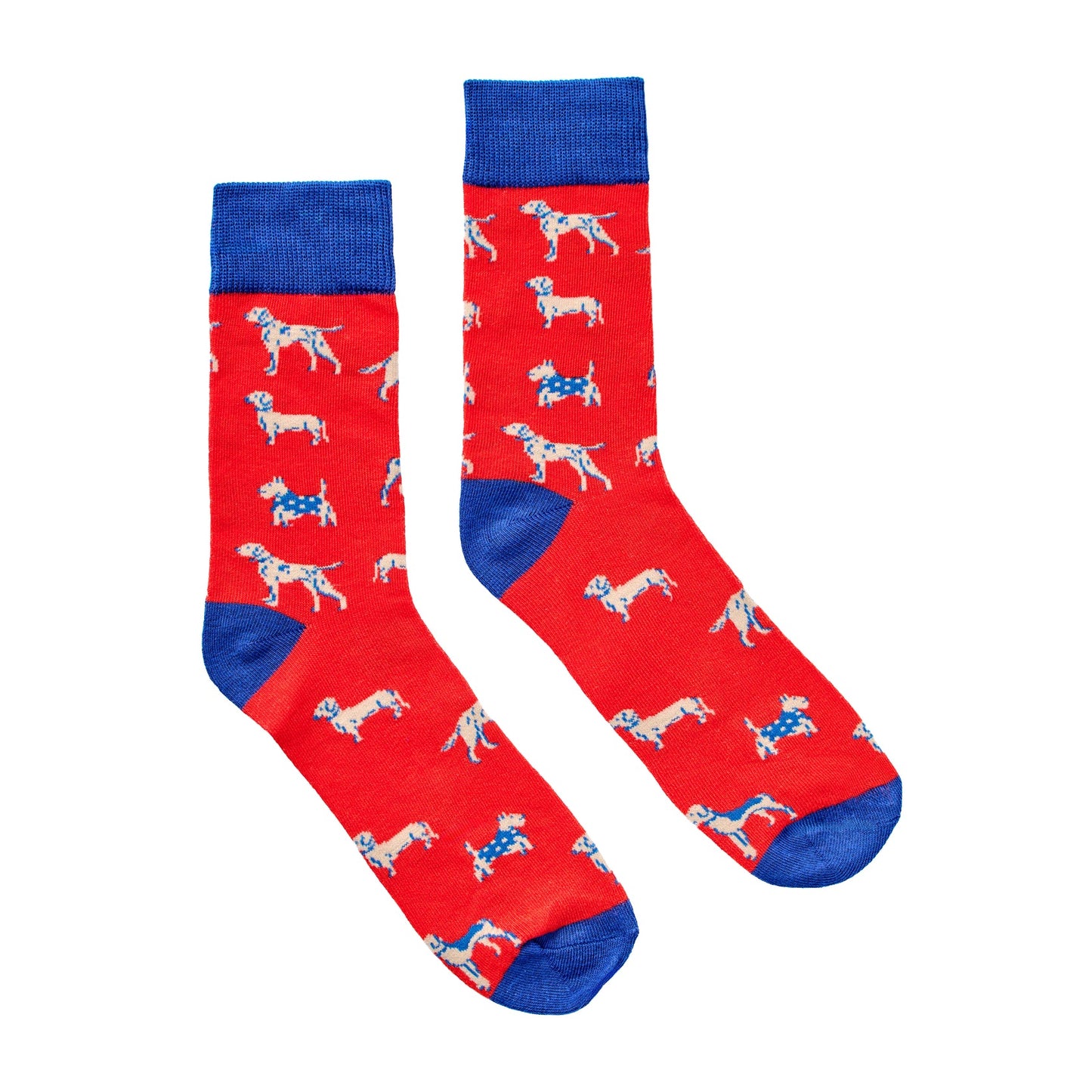 Socks in a Can - Dogs