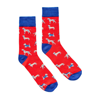 Socks in a Can - Dogs