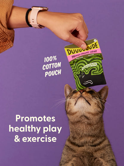Duuuuuude Catnip Toy
