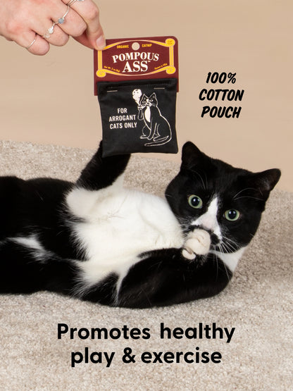 Pompous Ass Catnip Toy