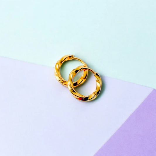Twist Hoops Earrings