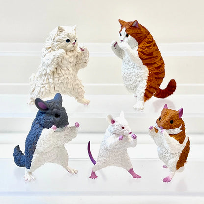 Kung Fu Animals Blind Box