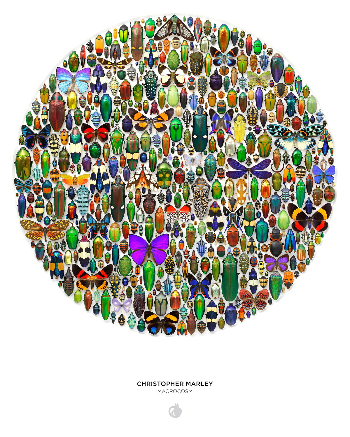 Christopher Marley: Macrocosm 500-Piece Circular Jigsaw Puzzle