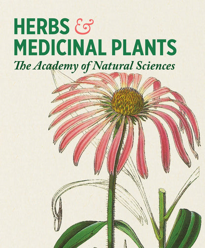 Herbs and Medicinal Plants Knowledge Cards