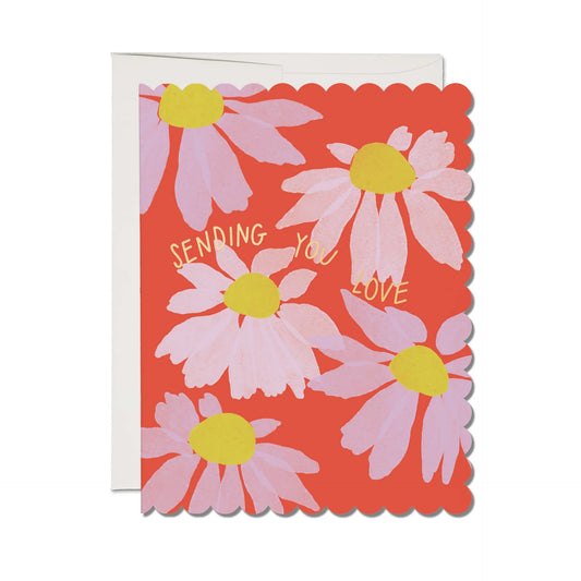 Scalloped Coneflower Greeting Card