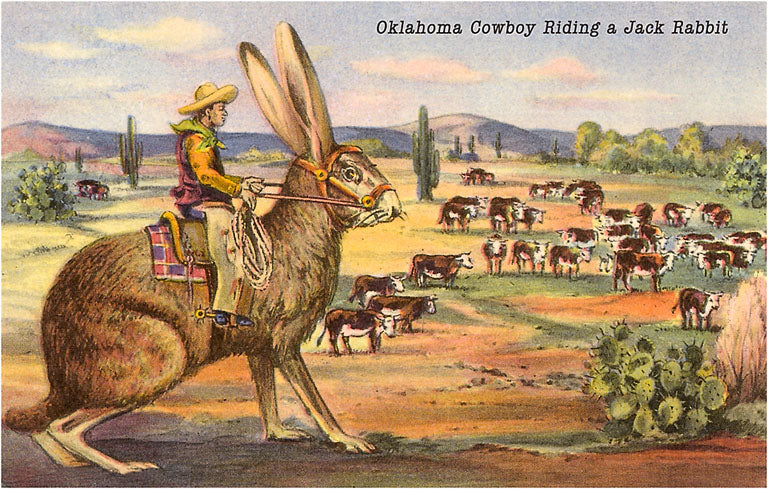 Cowboy Riding Giant Jackrabbit Postcard – Blue Seven
