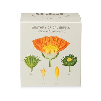 Plant The Box Candle - Catalan Calendula