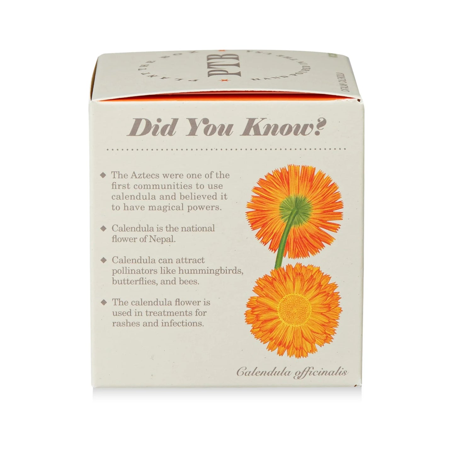 Plant The Box Candle - Catalan Calendula