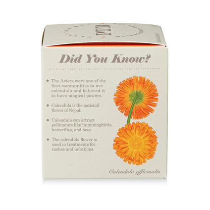 Plant The Box Candle - Catalan Calendula