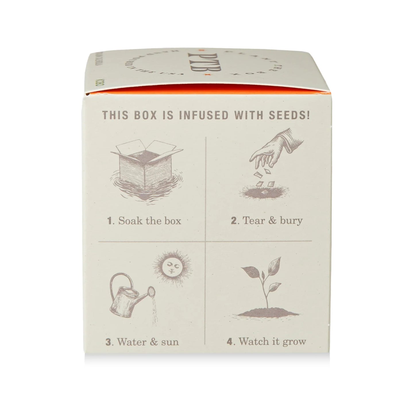 Plant The Box Candle - Catalan Calendula
