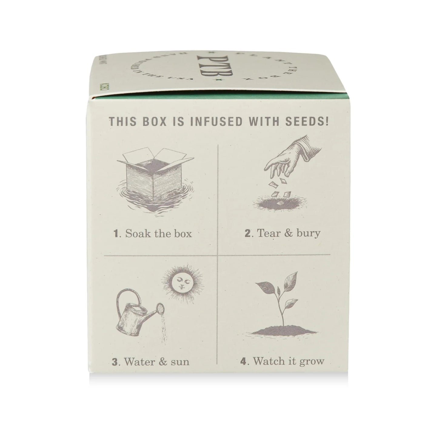 Plant The Box Candle - Crushed Mint