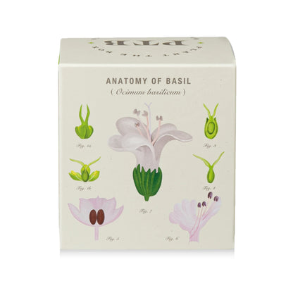 Plant The Box Candle - Fresh Picked Basil