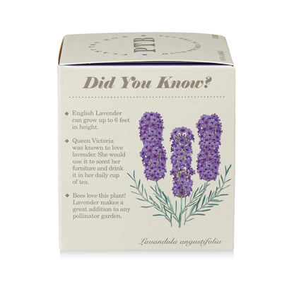 Plant The Box Candle - Heath Lavender