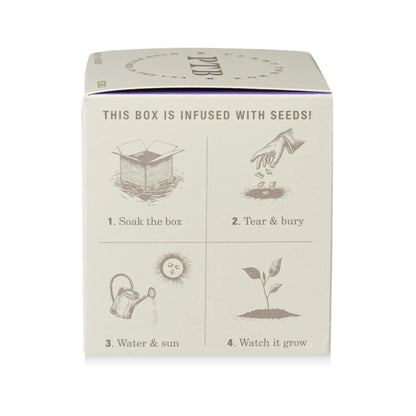 Plant The Box Candle - Heath Lavender