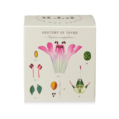 Plant The Box Candle - Somerset Thyme
