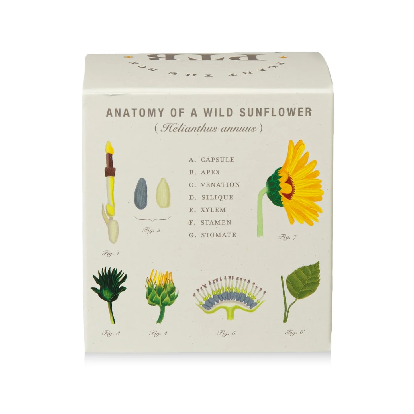 Plant The Box Candle - Sweet Sunflower