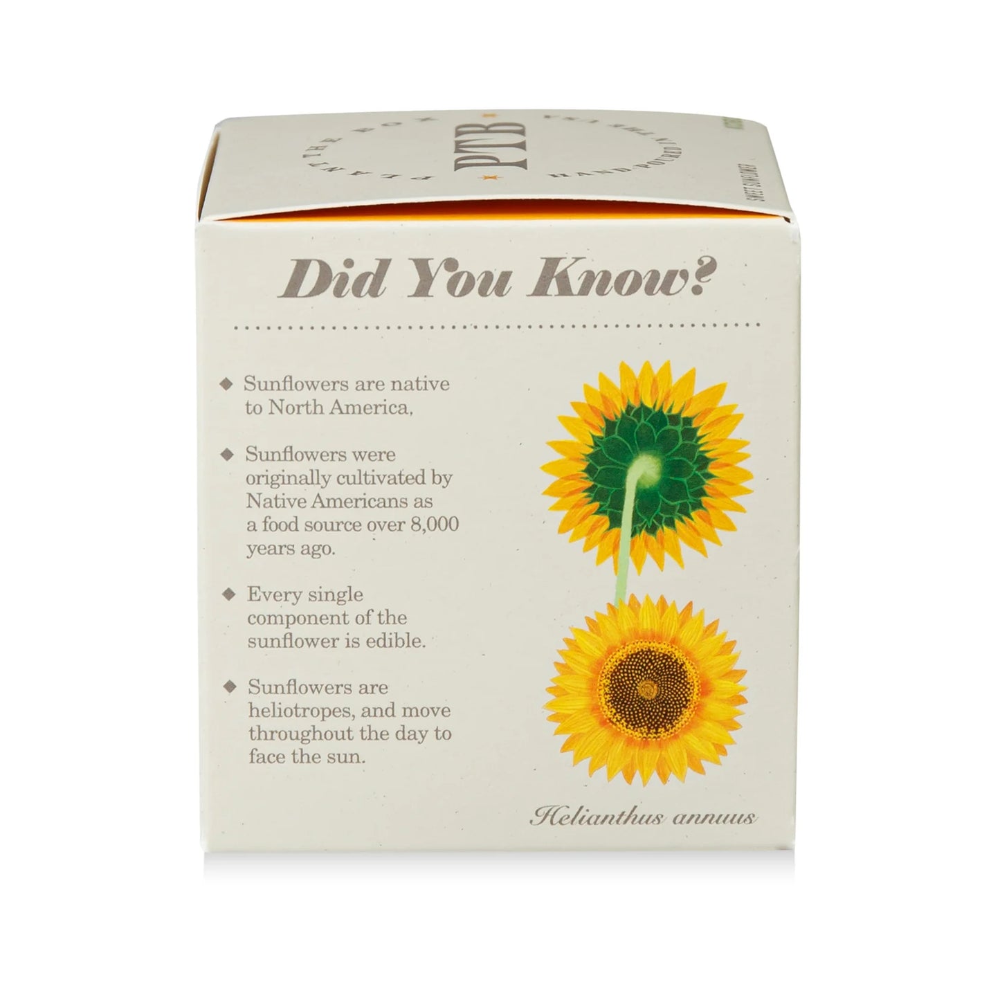 Plant The Box Candle - Sweet Sunflower