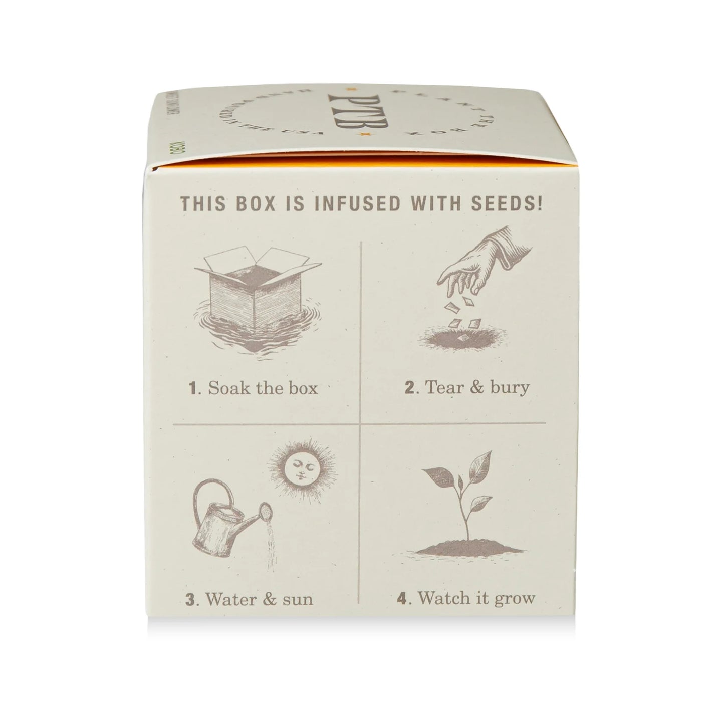 Plant The Box Candle - Sweet Sunflower