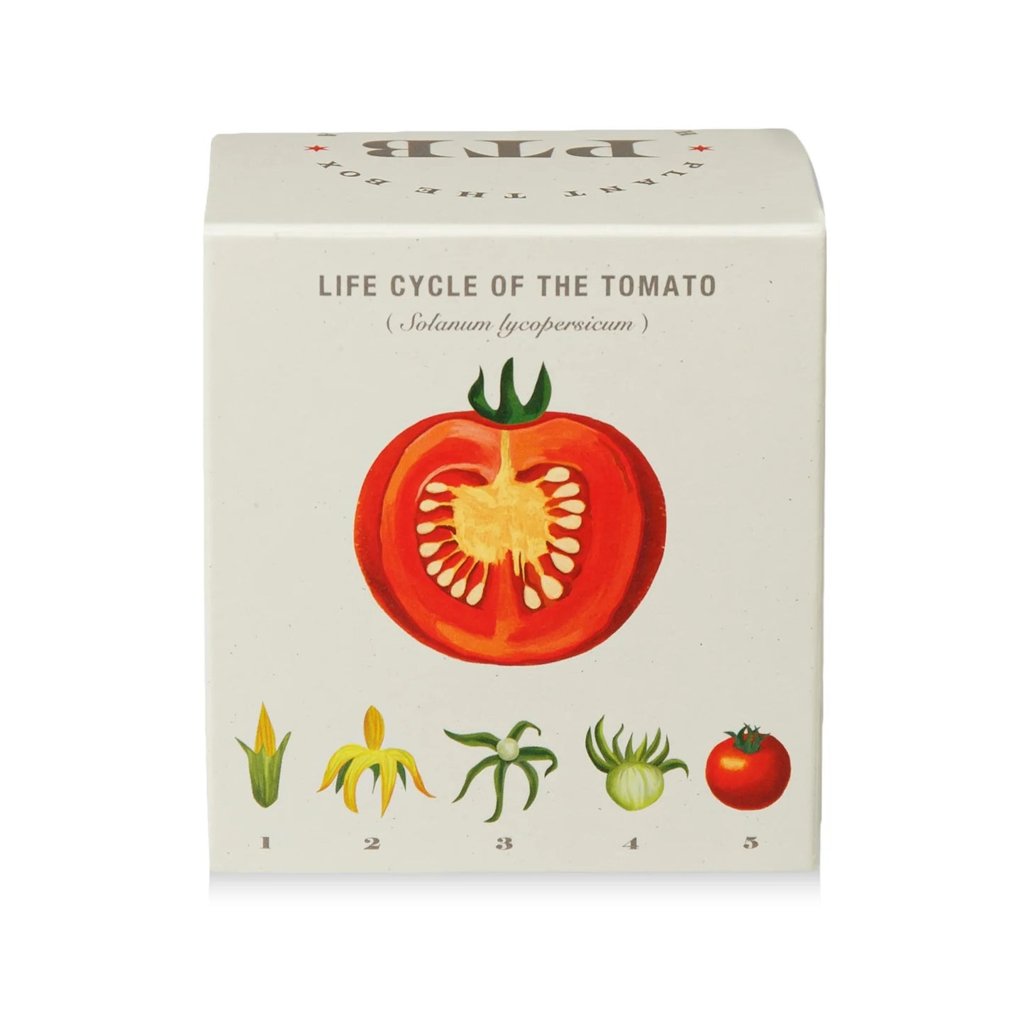 Plant The Box Candle - Wild Tomato Vine