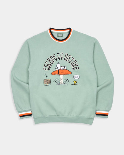 Peanuts x Parks Project Escape to Nature Crew