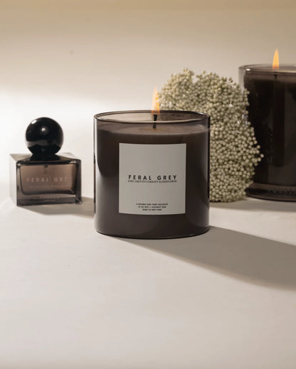 Feral Grey 10oz Candle