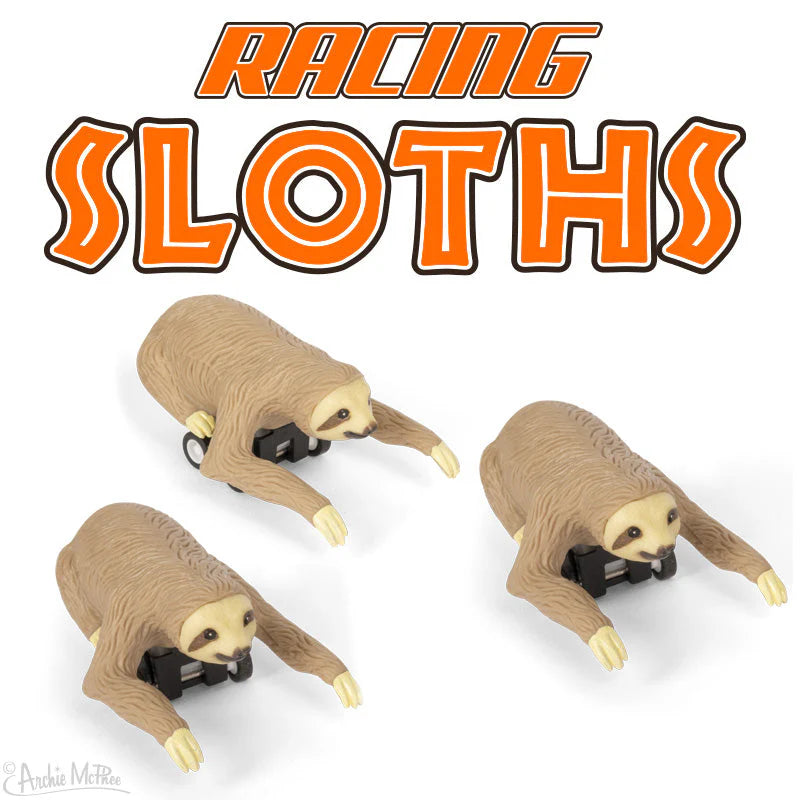 Racing Sloths