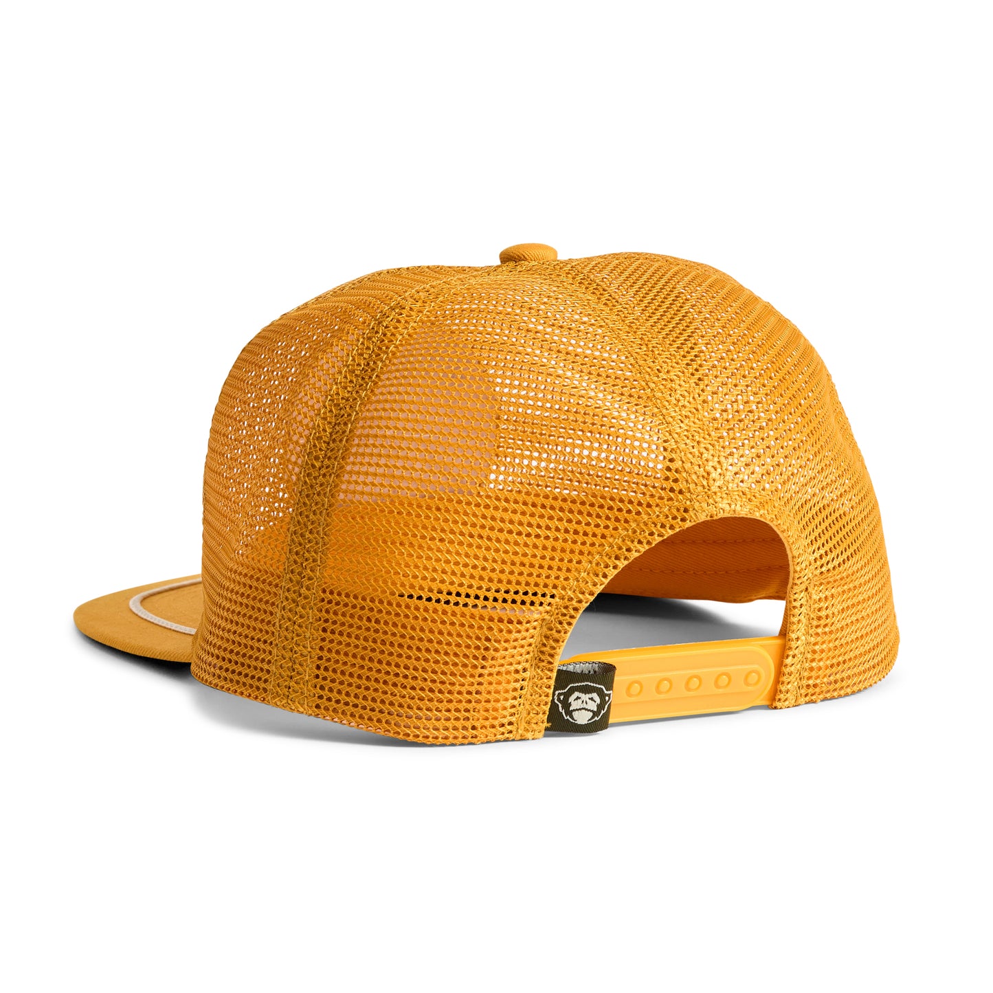 Unstructured Snapback - Farm Team : Gold