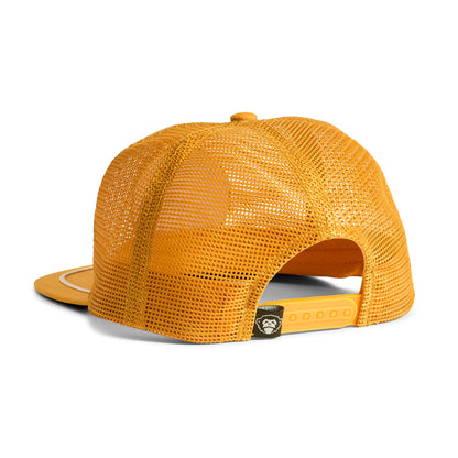 Unstructured Snapback - Farm Team : Gold